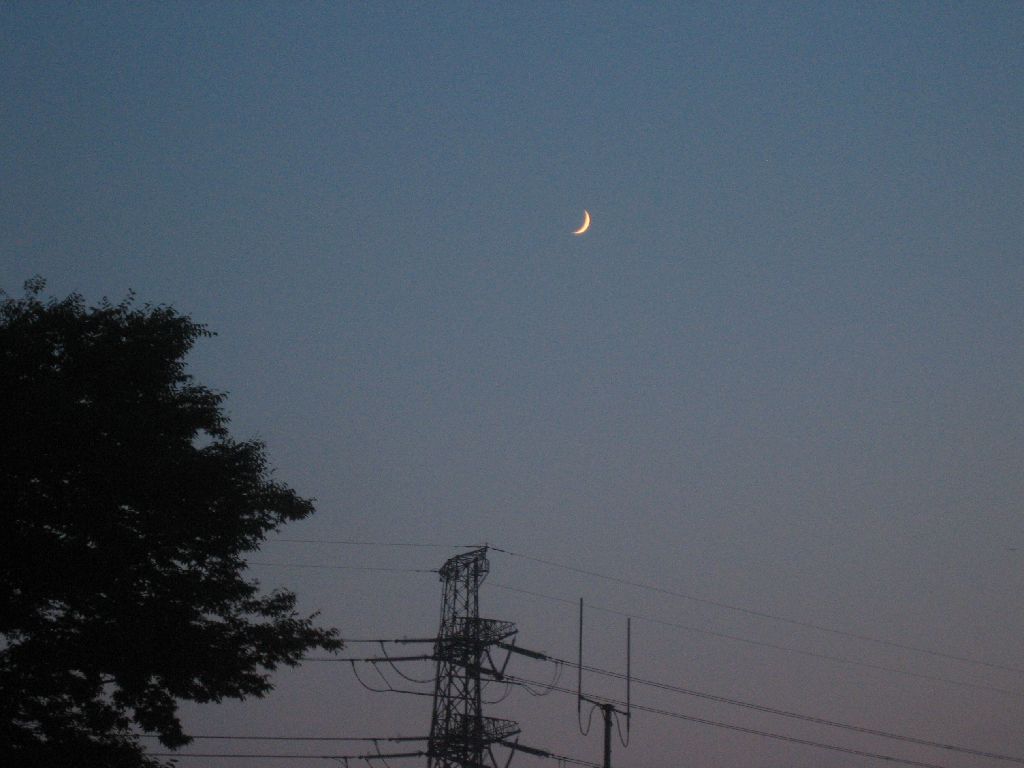 5th day moon